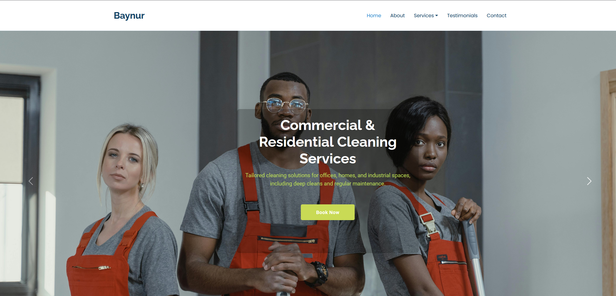 Baynur Group Ltd website homepage preview