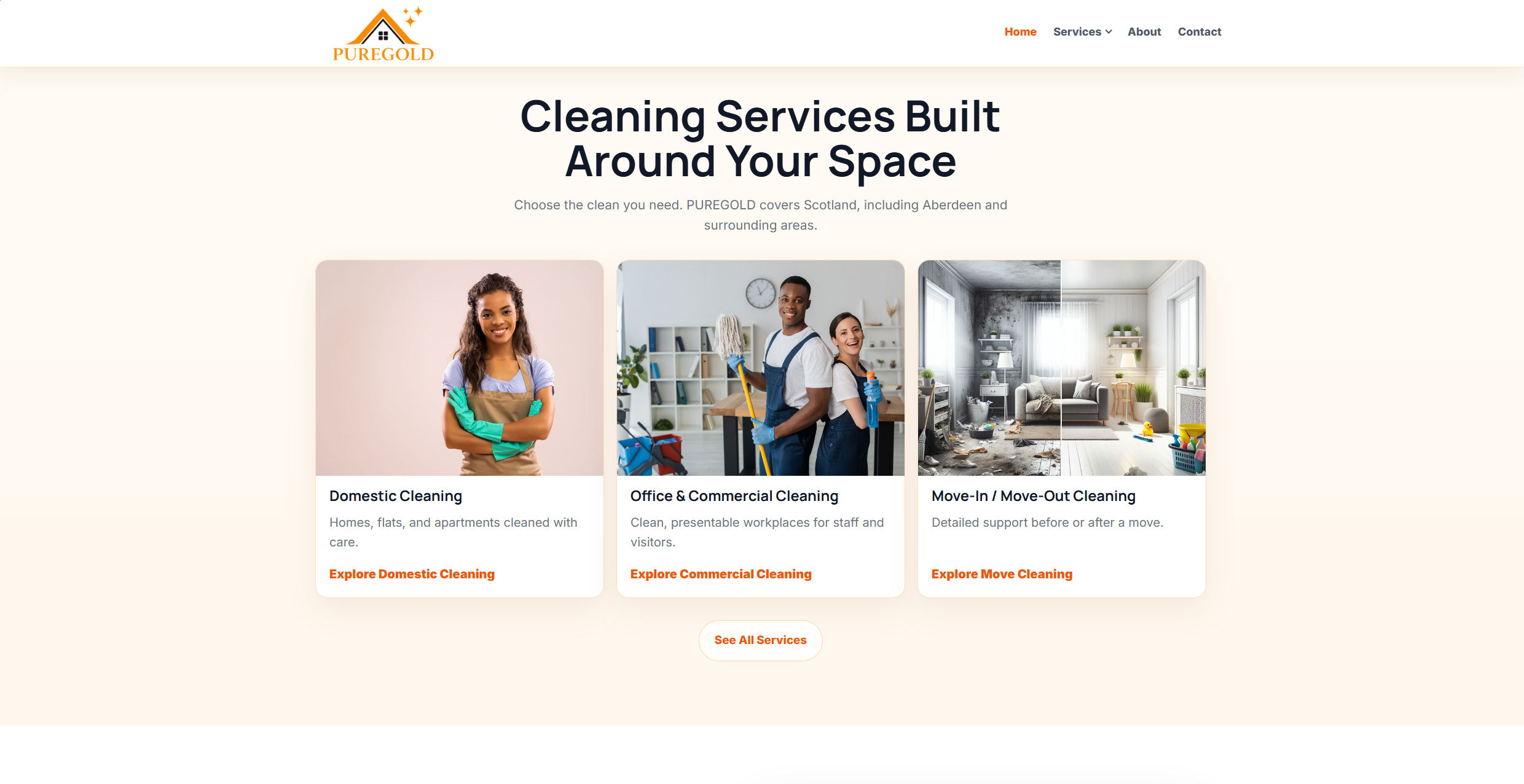 PureGold Clean website homepage preview